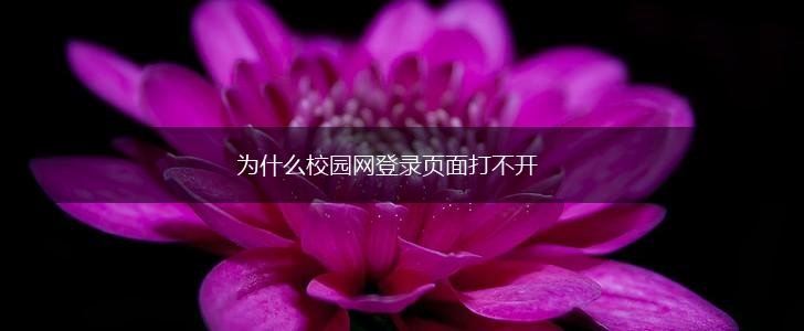 为什么校园网登录页面打不开,第1张