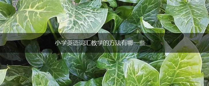 小学英语词汇教学的方法有哪一些,第1张