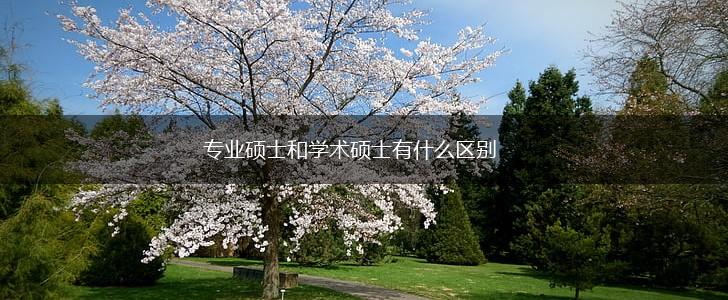 专业硕士和学术硕士有什么区别,第1张