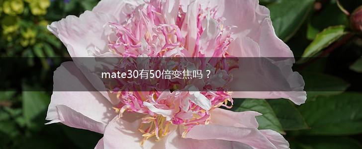 mate30有50倍变焦吗？,第1张