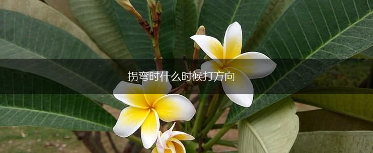 拐弯时什么时候打方向,第1张