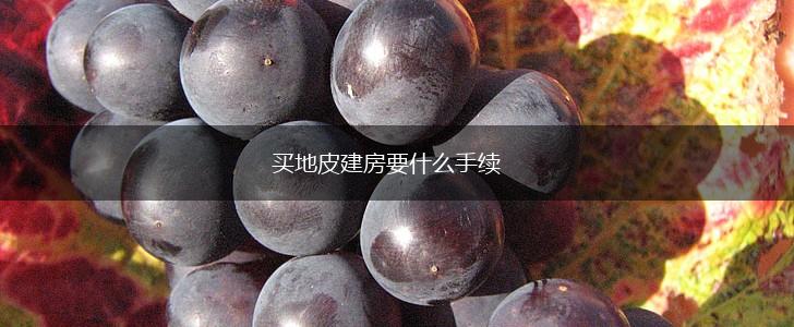 买地皮建房要什么手续,第1张