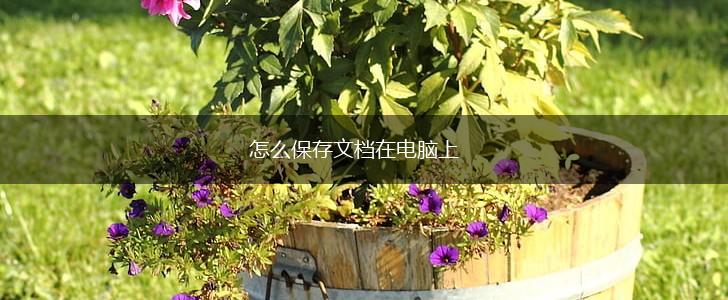 怎么保存文档在电脑上,第1张