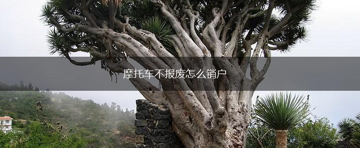 摩托车不报废怎么销户,第1张