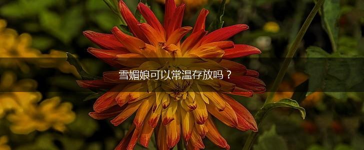 雪媚娘可以常温存放吗？,第1张