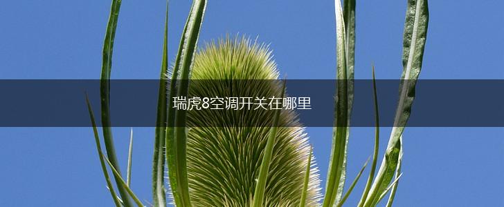 瑞虎8空调开关在哪里,第1张