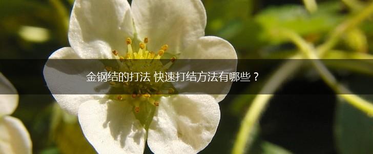 金钢结的打法 快速打结方法有哪些？,第1张