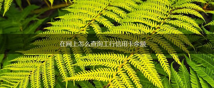 在网上怎么查询工行信用卡余额,第1张