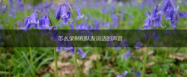 怎么录制和队友说话的声音,第1张