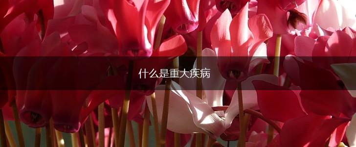 什么是重大疾病,第1张