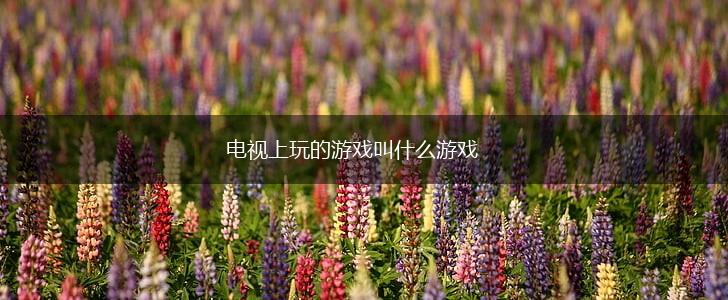 电视上玩的游戏叫什么游戏,第1张
