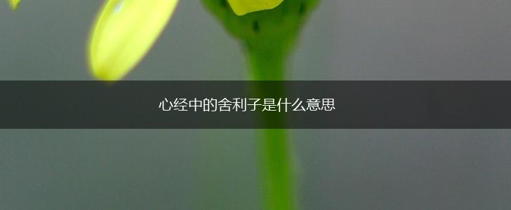 心经中的舍利子是什么意思,第1张