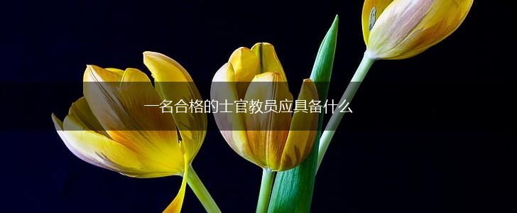 一名合格的士官教员应具备什么,第1张