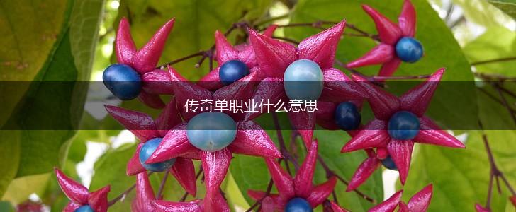 传奇单职业什么意思,第1张