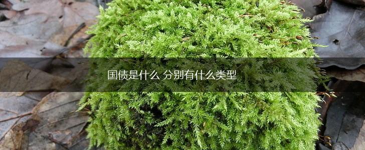 国债是什么 分别有什么类型,第1张