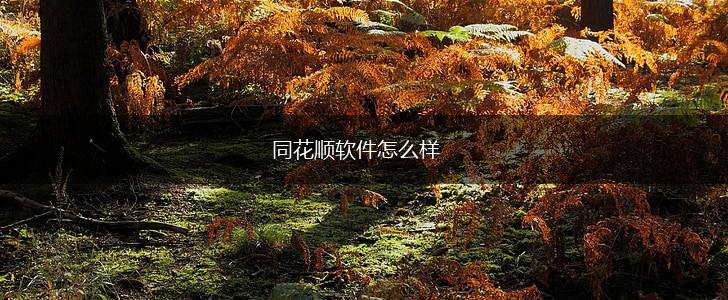 同花顺软件怎么样,第1张