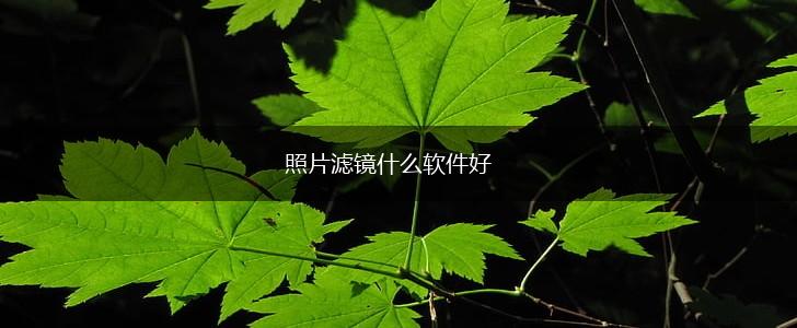 照片滤镜什么软件好,第1张