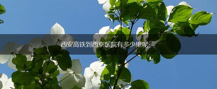西安高铁到西京医院有多少里呢,第1张