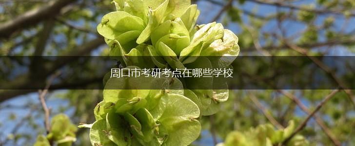 周口市考研考点在哪些学校,第1张 周口市考研考点在哪些学校,第1张