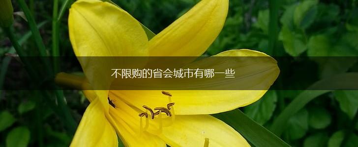 不限购的省会城市有哪一些,第1张