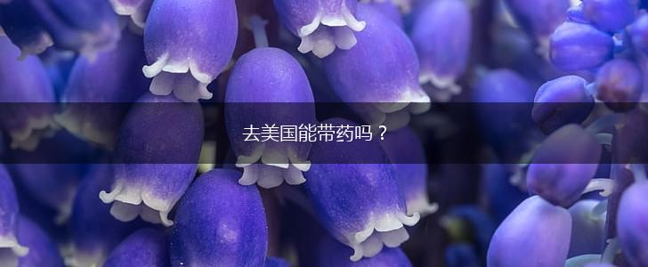 去美国能带药吗？,第1张