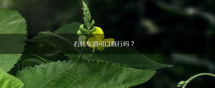 右转车道可以直行吗？,第1张