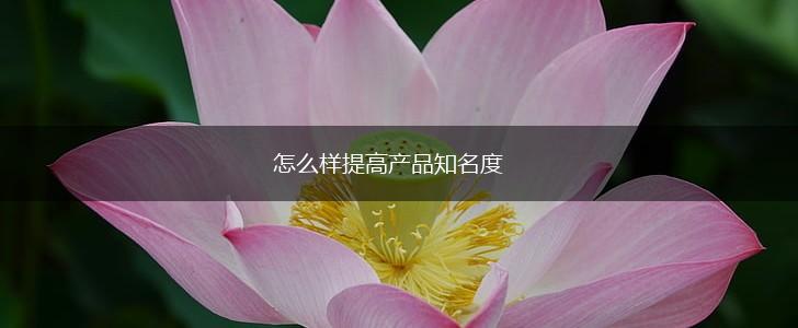 怎么样提高产品知名度,第1张