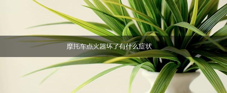 摩托车点火器坏了有什么症状,第1张 摩托车点火器坏了有什么症状,第1张