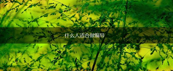 什么人适合做编导,第1张