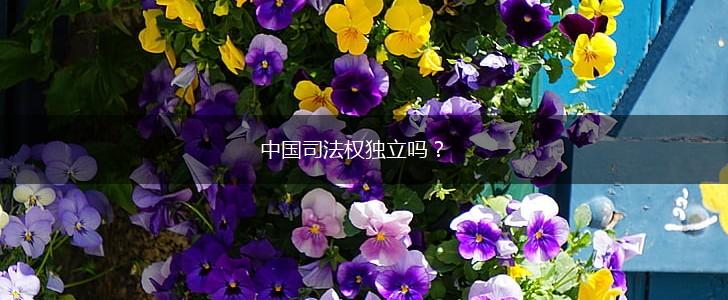 中国司法权独立吗？,第1张