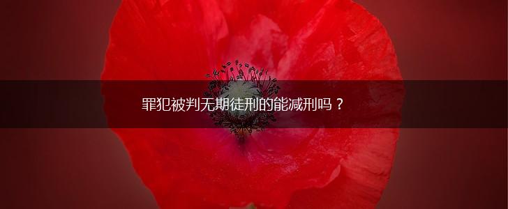 罪犯被判无期徒刑的能减刑吗？,第1张