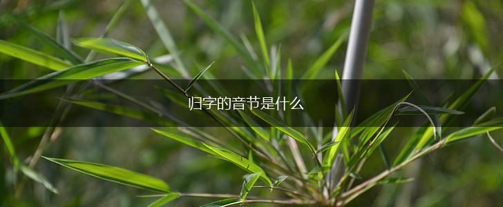 归字的音节是什么,第1张