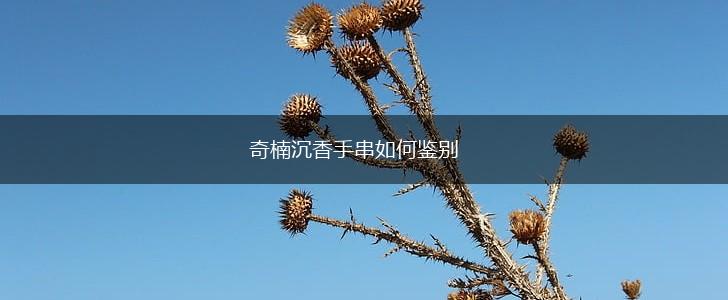 奇楠沉香手串如何鉴别,第1张