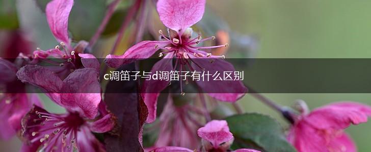 c调笛子与d调笛子有什么区别,第1张