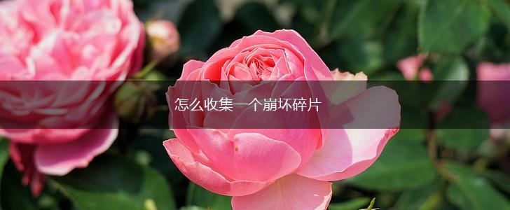 怎么收集一个崩坏碎片,第1张