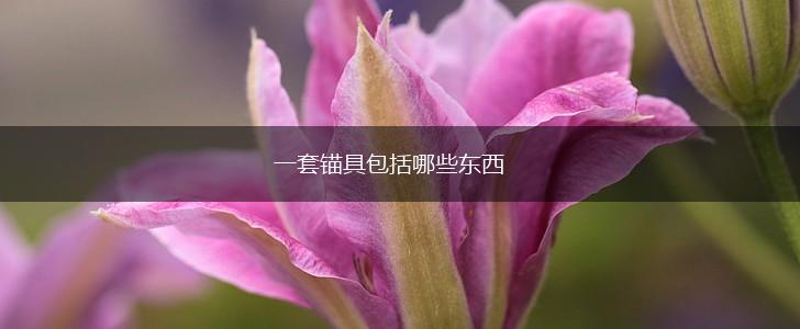 一套锚具包括哪些东西,第1张