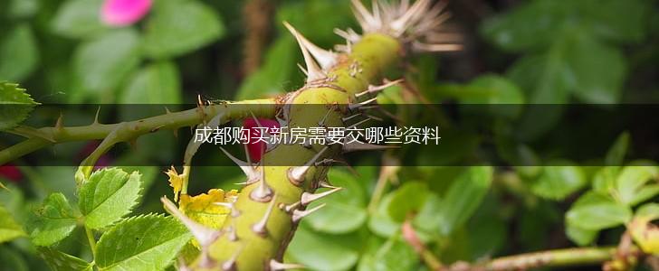 成都购买新房需要交哪些资料,第1张