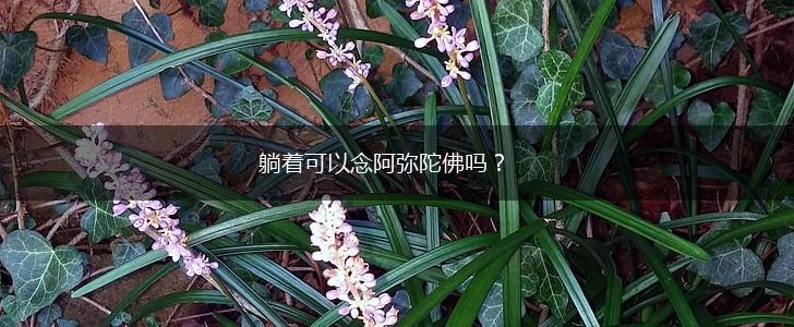 躺着可以念阿弥陀佛吗？,第1张