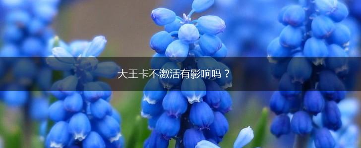 大王卡不激活有影响吗？,第1张