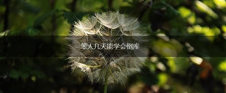 笨人几天能学会倒库,第1张