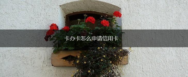 卡办卡怎么申请信用卡,第1张