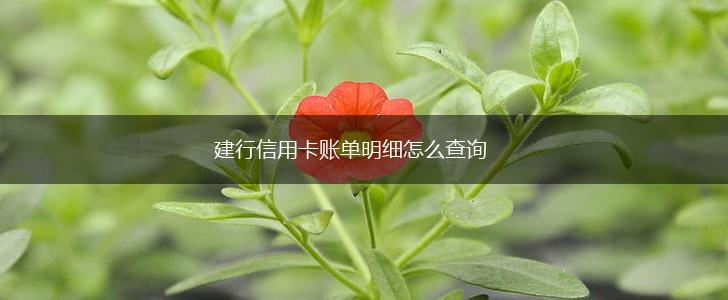 建行信用卡账单明细怎么查询,第1张