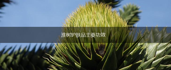 淮树护肤品主要功效,第1张