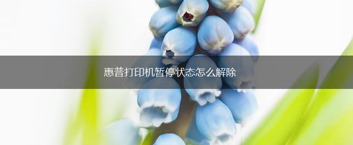 惠普打印机暂停状态怎么解除,第1张