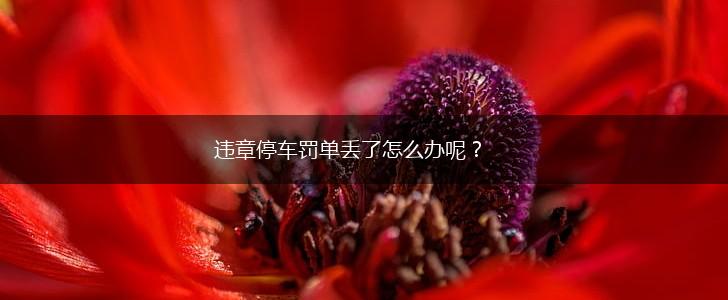 违章停车罚单丢了怎么办呢？,第1张
