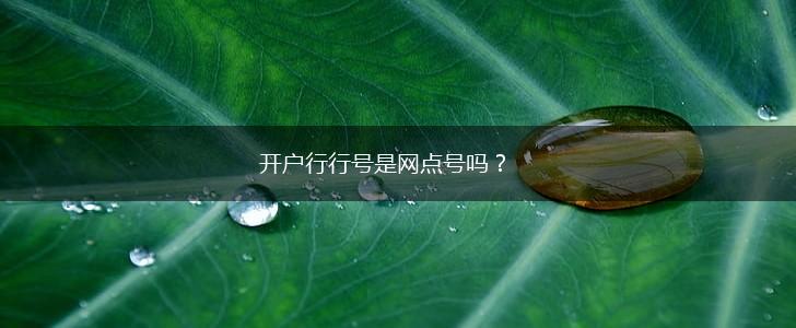 开户行行号是网点号吗？,第1张