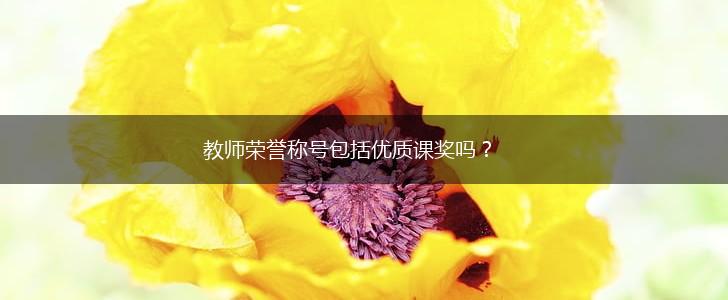 教师荣誉称号包括优质课奖吗？,第1张