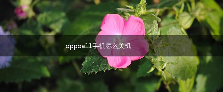 oppoa11手机怎么关机,第1张