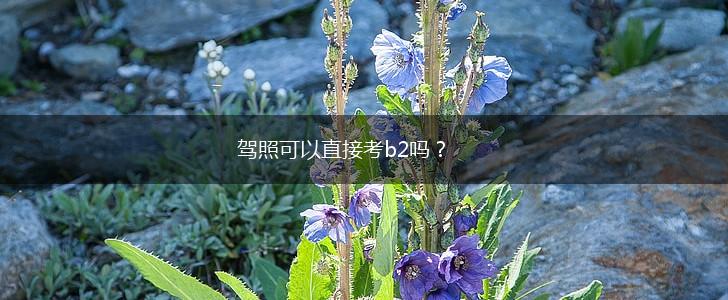 驾照可以直接考b2吗？,第1张
