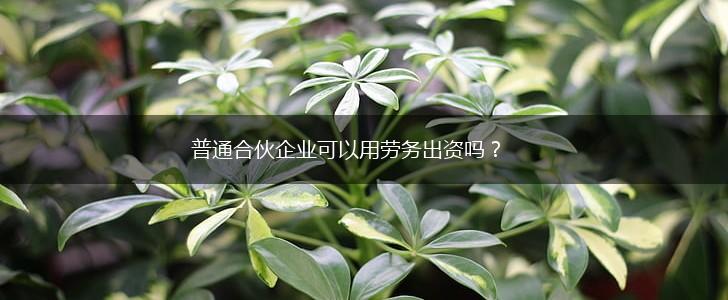 普通合伙企业可以用劳务出资吗？,第1张